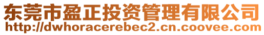 東莞市盈正投資管理有限公司