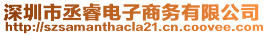 深圳市丞睿电子商务有限公司