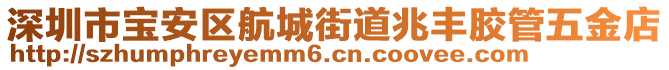 深圳市寶安區(qū)航城街道兆豐膠管五金店