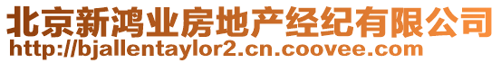 北京新鴻業(yè)房地產(chǎn)經(jīng)紀有限公司