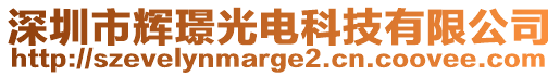 深圳市辉璟光电科技有限公司