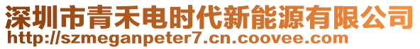 深圳市青禾電時代新能源有限公司