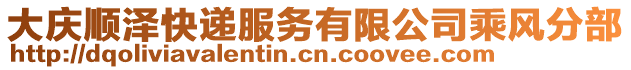 大慶順澤快遞服務(wù)有限公司乘風(fēng)分部