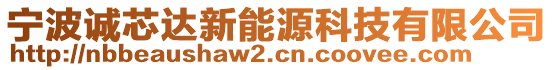 寧波誠芯達新能源科技有限公司