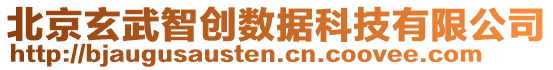 北京玄武智創(chuàng)數(shù)據(jù)科技有限公司