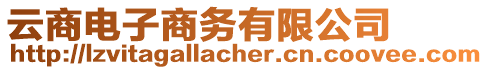 云商電子商務(wù)有限公司