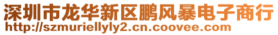 深圳市龍華新區(qū)鵬風(fēng)暴電子商行