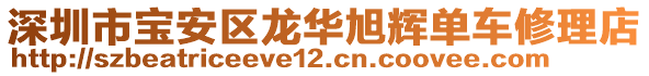 深圳市宝安区龙华旭辉单车修理店