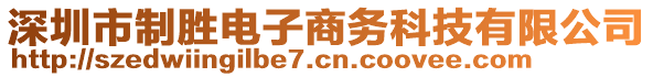 深圳市制勝電子商務科技有限公司