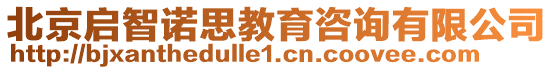 北京啟智諾思教育咨詢有限公司