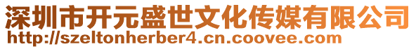 深圳市開元盛世文化傳媒有限公司