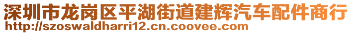 深圳市龍崗區(qū)平湖街道建輝汽車配件商行