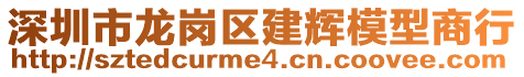 深圳市龙岗区建辉模型商行