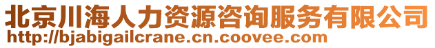 北京川海人力資源咨詢服務(wù)有限公司