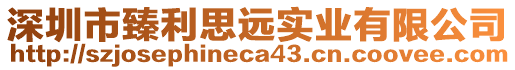 深圳市臻利思遠(yuǎn)實(shí)業(yè)有限公司