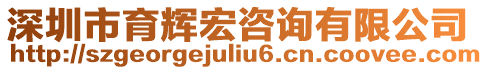 深圳市育輝宏咨詢有限公司