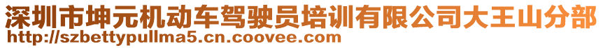 深圳市坤元機(jī)動(dòng)車駕駛員培訓(xùn)有限公司大王山分部