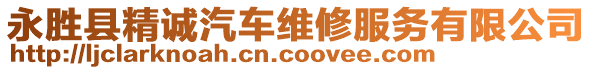 永勝縣精誠汽車維修服務有限公司