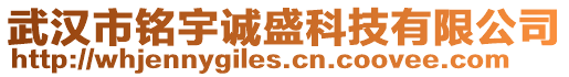 武漢市銘宇誠盛科技有限公司