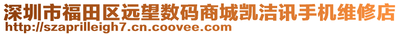 深圳市福田區(qū)遠(yuǎn)望數(shù)碼商城凱潔訊手機(jī)維修店