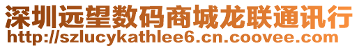 深圳遠(yuǎn)望數(shù)碼商城龍聯(lián)通訊行