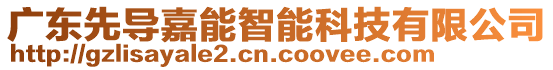 廣東先導(dǎo)嘉能智能科技有限公司