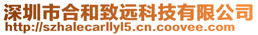 深圳市合和致遠(yuǎn)科技有限公司