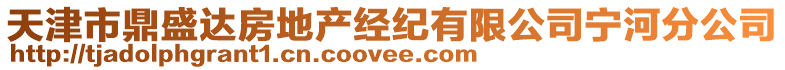 天津市鼎盛达房地产经纪有限公司宁河分公司