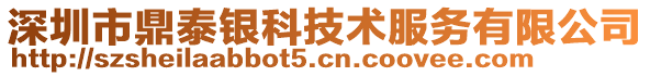 深圳市鼎泰銀科技術服務有限公司