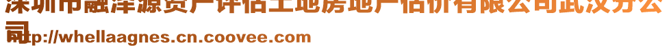 深圳市融泽源资产评估土地房地产估价有限公司武汉分公
司