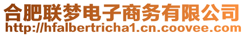 合肥聯(lián)夢電子商務(wù)有限公司