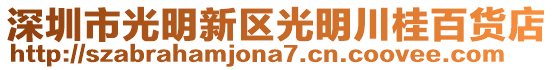 深圳市光明新區(qū)光明川桂百貨店