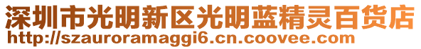 深圳市光明新區(qū)光明藍(lán)精靈百貨店