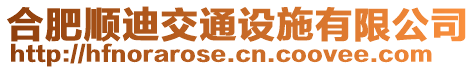 合肥順迪交通設施有限公司