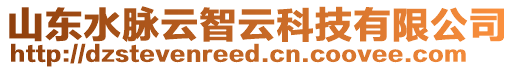 山東水脈云智云科技有限公司