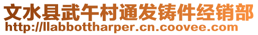 文水縣武午村通發(fā)鑄件經(jīng)銷(xiāo)部