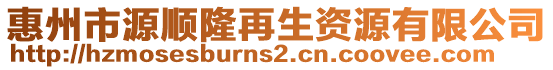 惠州市源順隆再生資源有限公司