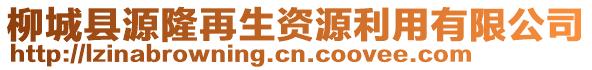 柳城縣源隆再生資源利用有限公司