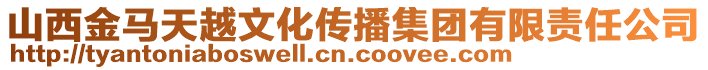 山西金馬天越文化傳播集團有限責任公司