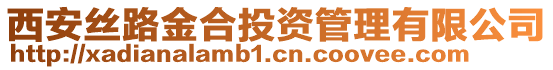 西安絲路金合投資管理有限公司