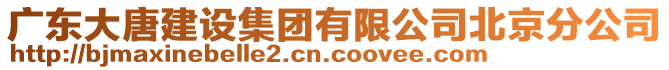 廣東大唐建設(shè)集團(tuán)有限公司北京分公司