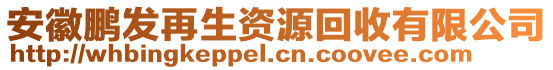 安徽鵬發(fā)再生資源回收有限公司