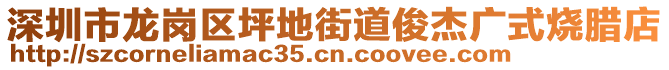 深圳市龍崗區(qū)坪地街道俊杰廣式燒臘店