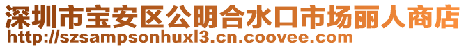 深圳市寶安區(qū)公明合水口市場麗人商店