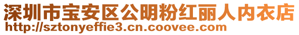 深圳市宝安区公明粉红丽人内衣店