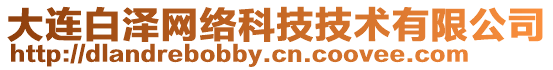 大連白澤網(wǎng)絡(luò)科技技術(shù)有限公司