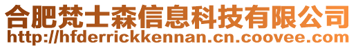 合肥梵士森信息科技有限公司