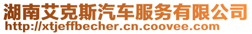 湖南艾克斯汽車服務(wù)有限公司