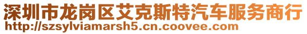 深圳市龙岗区艾克斯特汽车服务商行