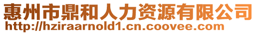 惠州市鼎和人力資源有限公司